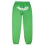 Sp5der Sweatpants Green